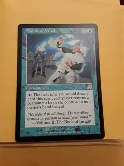 Words Of Wind (Onslaught) LP - Image 1