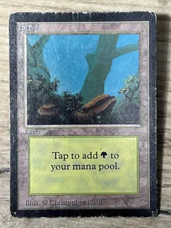 VTG MTG Forest - HP - Limited Edition Beta Magic the Gathering Card 300 - Image 1