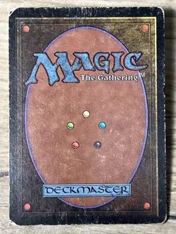 VTG MTG Forest - HP - Limited Edition Beta Magic the Gathering Card 300 - Image 2