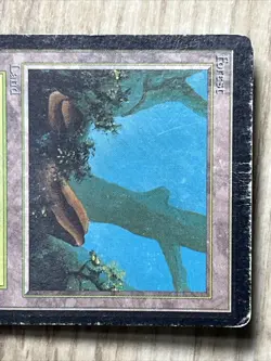 VTG MTG Forest - HP - Limited Edition Beta Magic the Gathering Card 300 - Image 3