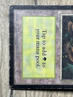 VTG MTG Forest - HP - Limited Edition Beta Magic the Gathering Card 300 - Image 4