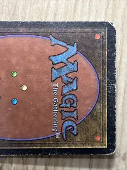 VTG MTG Forest - HP - Limited Edition Beta Magic the Gathering Card 300 - Image 5