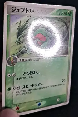 Grovyle 008/ADV-P CoroCoro Glossy Promo Japanese - Pokemon Trading Card - HP - Image 2