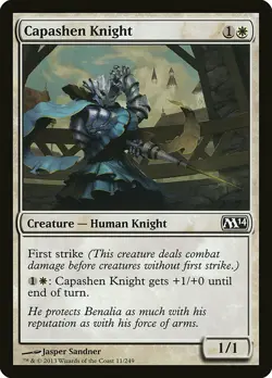 FOIL Capashen Knight | MtG Magic Magic 2014 (M14) | English |Near Mint-Mint (NM) - Image 1