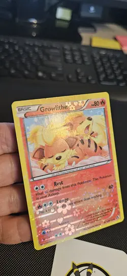 Growlithe RC4/RC25 - Legendary Treasures Radiant Holo - Pokemon Card - Image 4