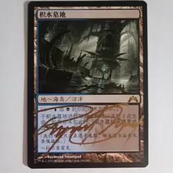 Magic The Gathering - 1x Signed Watery Grave (mtg) Chinese Gatecrash - Image 1