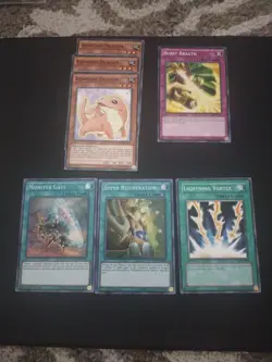 Yugioh Custom Dragonmaid Deck With Extra Deck - Image 5