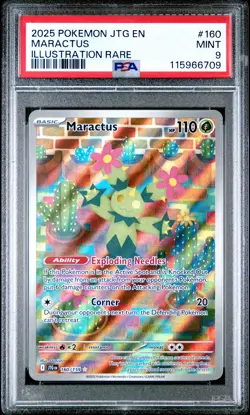 2025 POKEMON JTG EN-JOURNEY TOGETHER ILLUSTRATION RARE #160 MARACTUS PSA 9 - Image 1