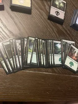 250 Magic The Gathering Land Cards Lot Bulk - Image 2