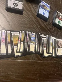 250 Magic The Gathering Land Cards Lot Bulk - Image 5