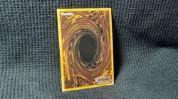 Dracotail Mululu *COLLECTOR RARE* JUSH - EN005 1st Edition NM - Image 2