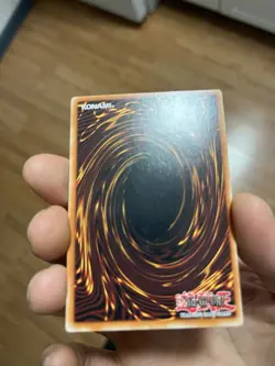 Yu-Gi-Oh! Black Rose Dragon, Ultimate Rare, - Image 5