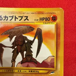 Excellent Shining Kabutops Holo Pokemon Card Japanese Vintage Rare Old Back - Image 3