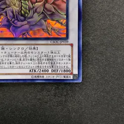 NM Black Rose Dragon CSOC-JP039 Holographic Ghost Rare YuGiOh 4790 - Image 5