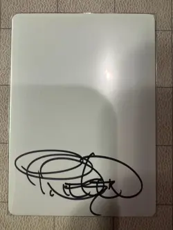 Wound Reflection Shadowmoor Artist Proof Signed by Terese - Image 2