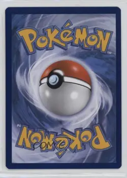 Squirtle Holo Pokemon Sword & Shield Black Star Promo #SWSH233 1fc4 - Image 2