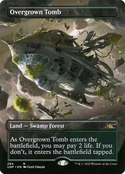 BORDERLESS Overgrown Tomb ~ Unfinity [ Excellent ] [ Magic MTG ] - Image 1