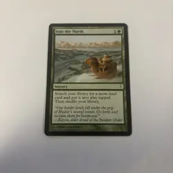 Into the North Coldsnap Regular Mtg - Image 1