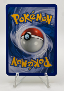 Pokemon Common Reverse Card : Squirtle 132/165 ( Expedition Base Set) - Image 2