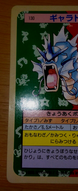 Pokemon Card Japanese Top sun Gyarados 1995 vintage from Japan - Image 3