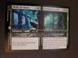 Walk-In Closet Forgotten Cellar [Duskmourn: House of Horror] Magic MTG NM - Image 1