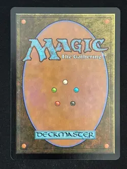 1x MTG Lord Windgrace (Borderless) - Special Guests (SPG) (LCI) #14 - Magic - Image 2