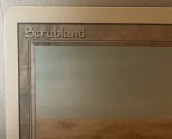 1994 Magic The Gathering MTG Scrubland Revised Edition Dual Land - Image 2