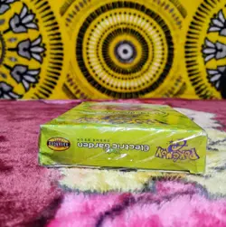 SEALED Pokemon Expedition Electric Garden Theme Deck Streamer Special TCG - Image 4