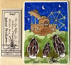 MTG ARTIST PROOF MTG Drafnas Restoration AP Sketch Art Amy WEBER - Image 1
