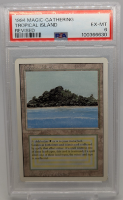 🔥1994 Magic the Gathering Revised Edition Dual Land Tropical Island PSA 6🔥 - Image 1