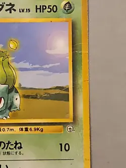 Erica’s Bulbasaur & Ivysaur 001 & 002 Set Of 2 Japanese Pokemon Cards, 1996 - Image 4