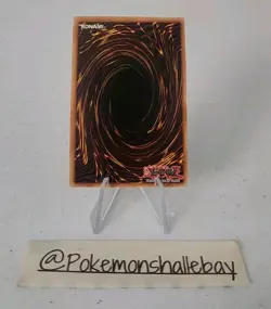 Dark Magician Girl PGLD EN033 *NM* Unlimited Edition Gold Rare Yugioh Card - Image 3