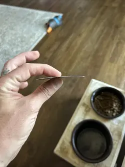 Screaming Nemesis (Borderless) Duskmourn: House of Horror Foil - Image 3