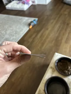 Screaming Nemesis (Borderless) Duskmourn: House of Horror Foil - Image 4