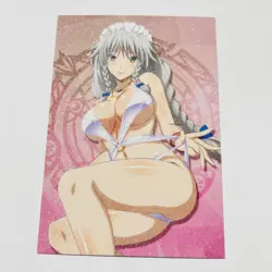 Goddess Story Doujin - ACG - Frosted Waifu Trading Card - Highschool dxd 29 - Image 1