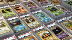 Pokemon Mystery Pack - 15 Cards - Guaranteed EX or Better in Every One! - Image 3