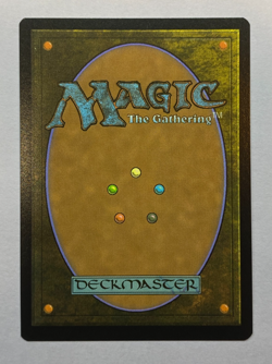 MTG - Secret Lair: Everyone's Invited - Bloodline Pretender - NM - Image 2