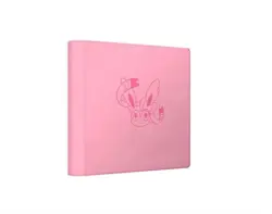 Pokemon TCG Official Sylveon 480 Slots File Binder From Chinese Eevee Gift Box - Image 3