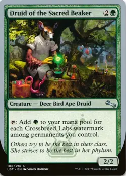 X 1 Druid of the Sacred NM Beaker Unstable UST 106 MTG Magic The Gathering - Image 1