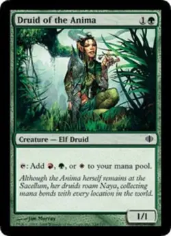 MTG Druid of the Anima, Shards of Alara, Damaged, English - Image 1