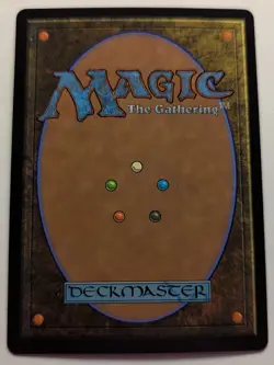 FIRION, WILD ROSE WARRIOR Borderless SURGE - Final Fantasy Magic: the Gathering - Image 3