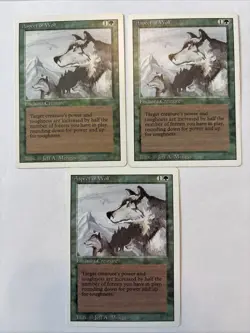 MTG Magic the Gathering Card LP - Aspect Of Wolf X3 Revised - Image 1