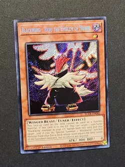 Yu-Gi-Oh! Competitive Retro Edison Format Blackwing Vayu Turbo Deck!! + Bonus! - Image 1