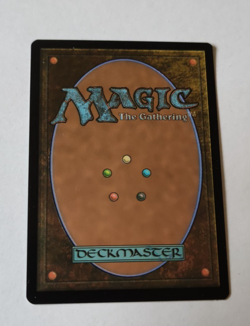 MtG Swamp (FDN-0286) Common Full Art English MINT - Image 2