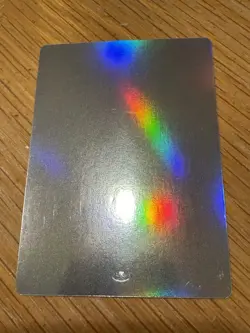 Magic The Gathering MTG Blank Foil Rare Full Art Card (Print Error) - Image 1