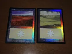 FOIL Lands lot Odyssey Japanese x10 mtg SP,MP [FC] E - Image 2