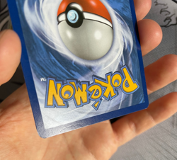 Venusaur EX XY123 Promo Pokemon XY - Image 3