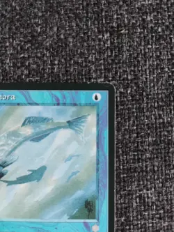 Mystic Remora - Ice Age (MTG) - Image 3