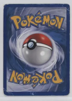 Potion German Pokemon e-Card Series Expedition #156 2002 15fy - Image 2