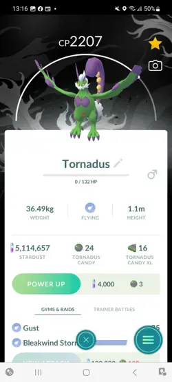 Pokemon Go Legendary Tornadus ( Normal )( Background) - Image 1